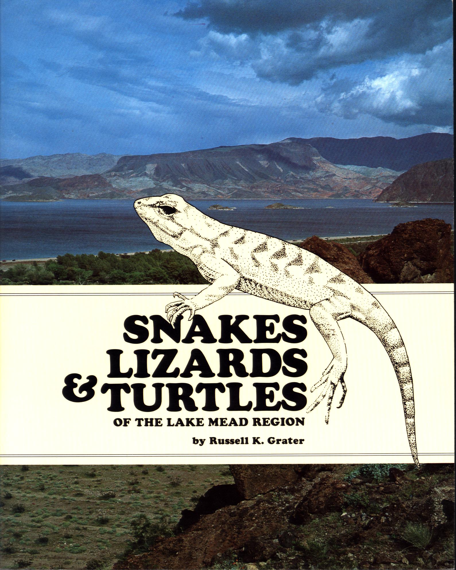 SNAKES, TURTLES, & LIZARDS OF THE LAKE MEAD REGION. b